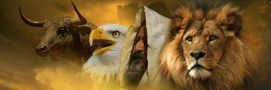 oes8891's profile banner image