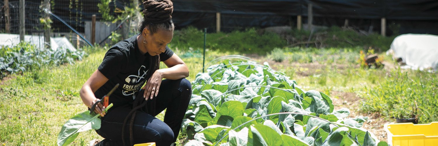 Edible Philly banner