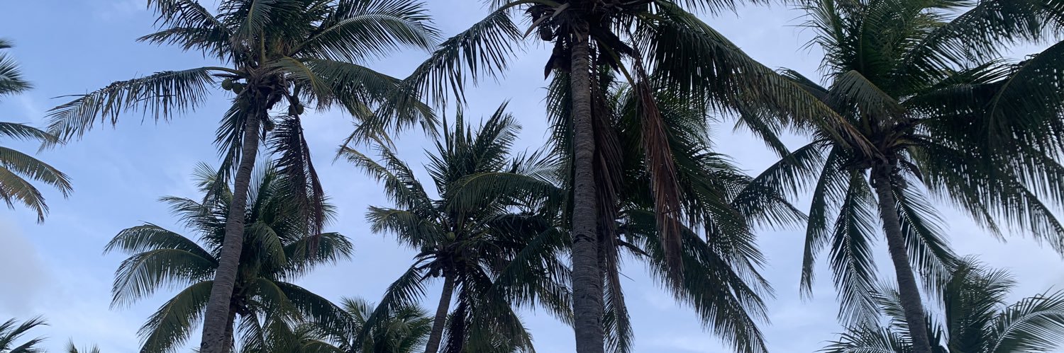 miaansaraa's profile banner image