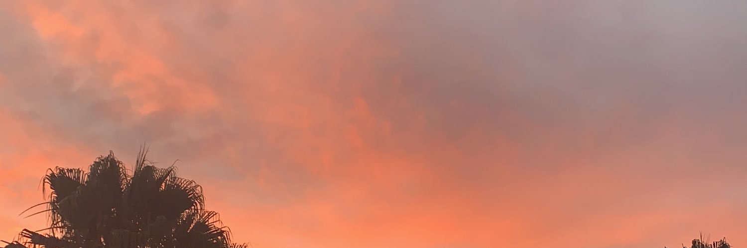 dannisnt's profile banner image