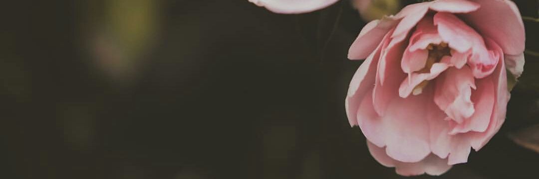 vale_0216's profile banner image