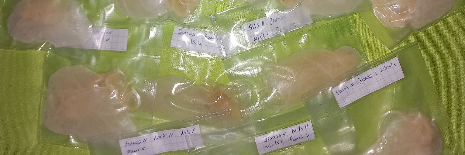 Backup🇩🇪 banner