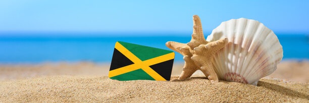 Island Top's banner