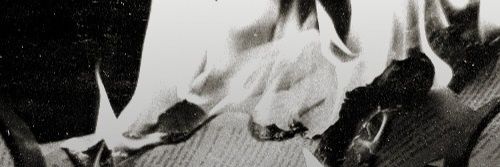 𝙇𝘼𝘿𝙔 𝘿𝙀𝘽𝙇𝙄𝙉𝙂. banner