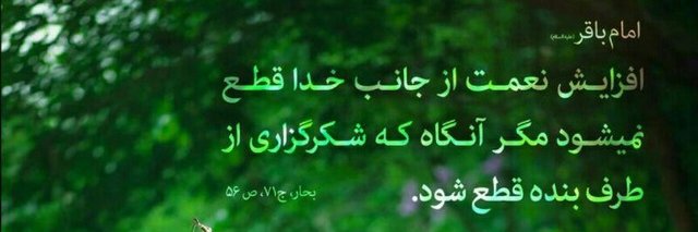 پلاک هفت banner