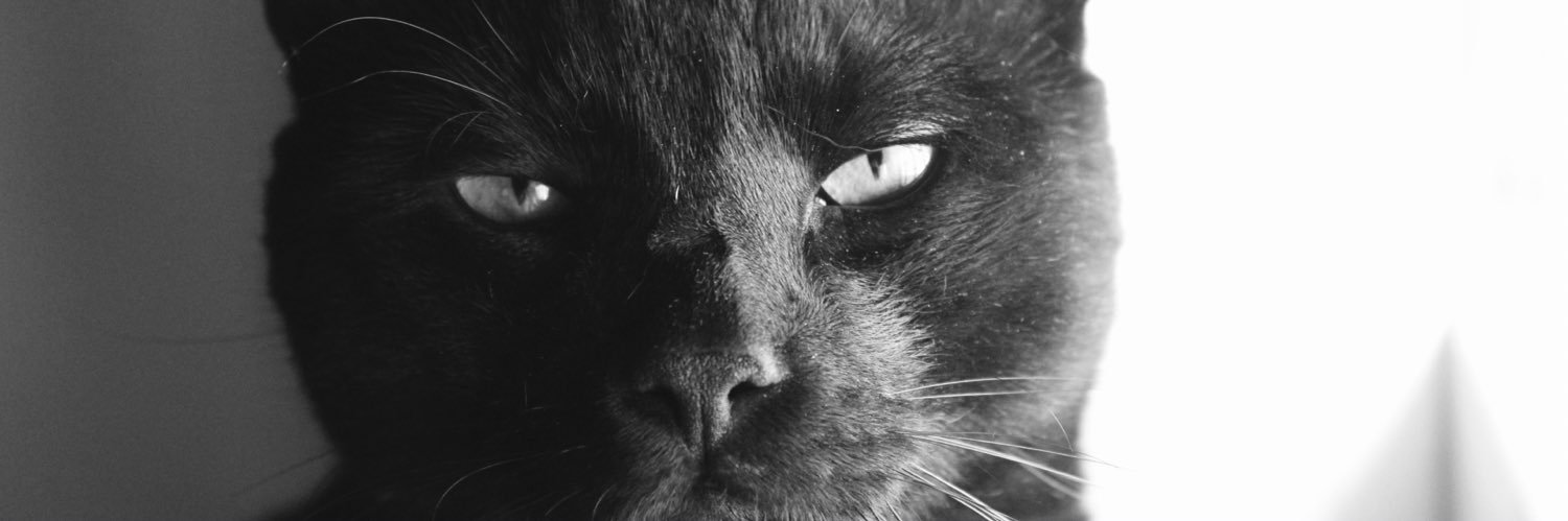 Nerea281101's profile banner image