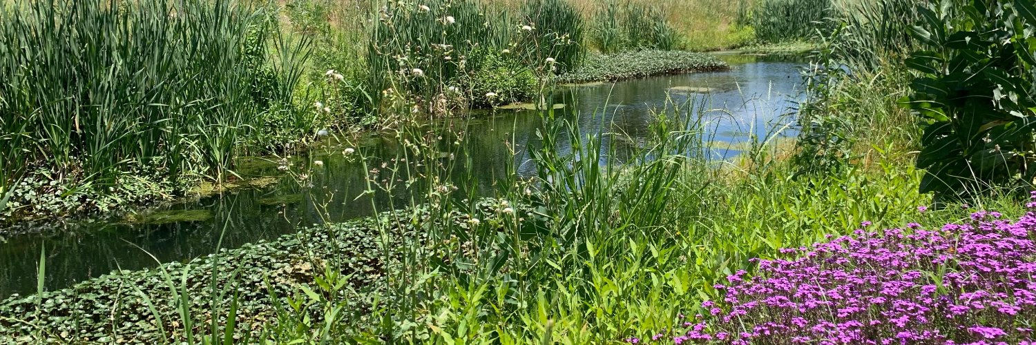 Nature-Based Exchange banner