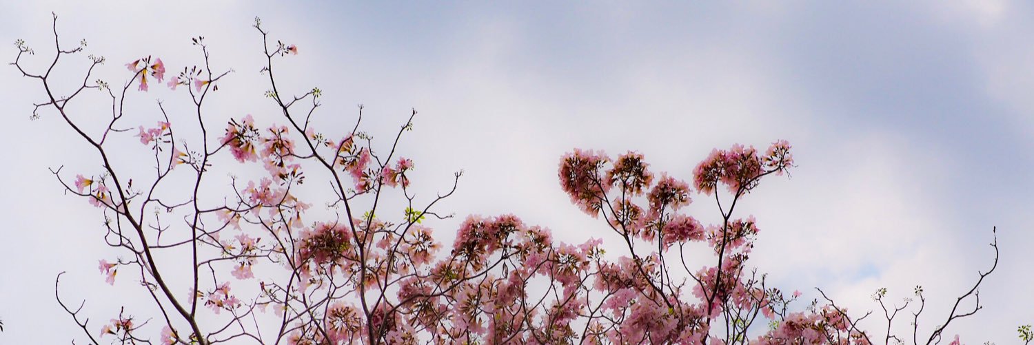 iamkwg's profile banner image