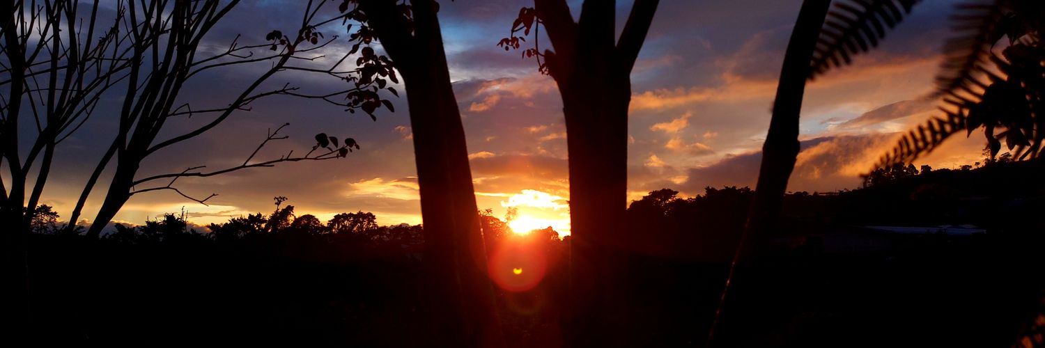 Colo0105's profile banner image