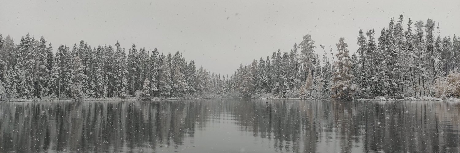 Sauna Insider banner