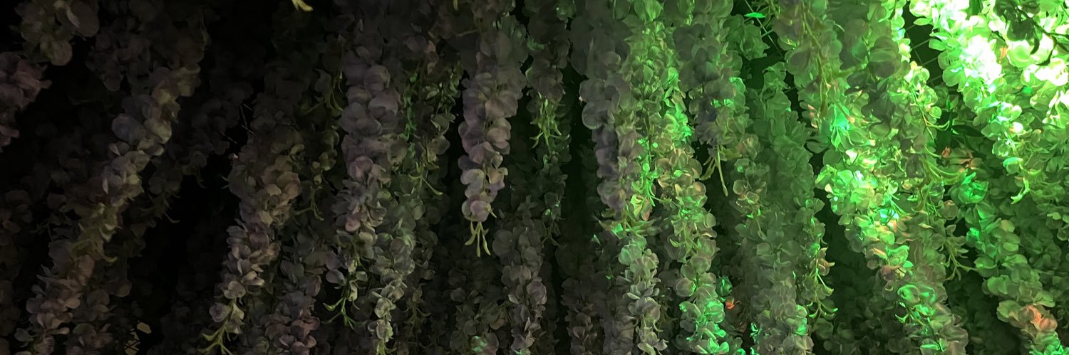 spicyeggwhite's profile banner image