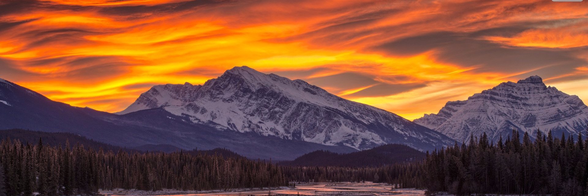 Cameron Croft banner