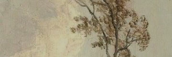 🥂🍍𓃠I Know, you Know, Lee Know𓃠 banner