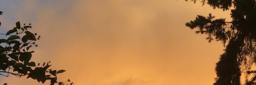 maroonlovee's profile banner image