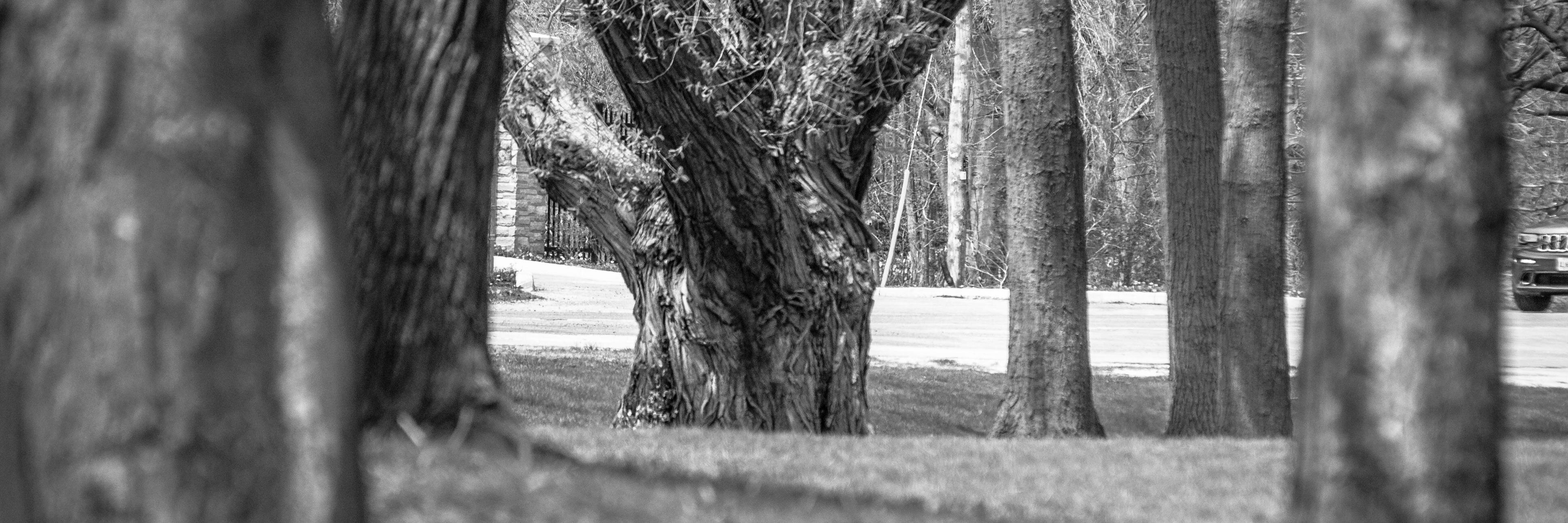 synectics's profile banner image