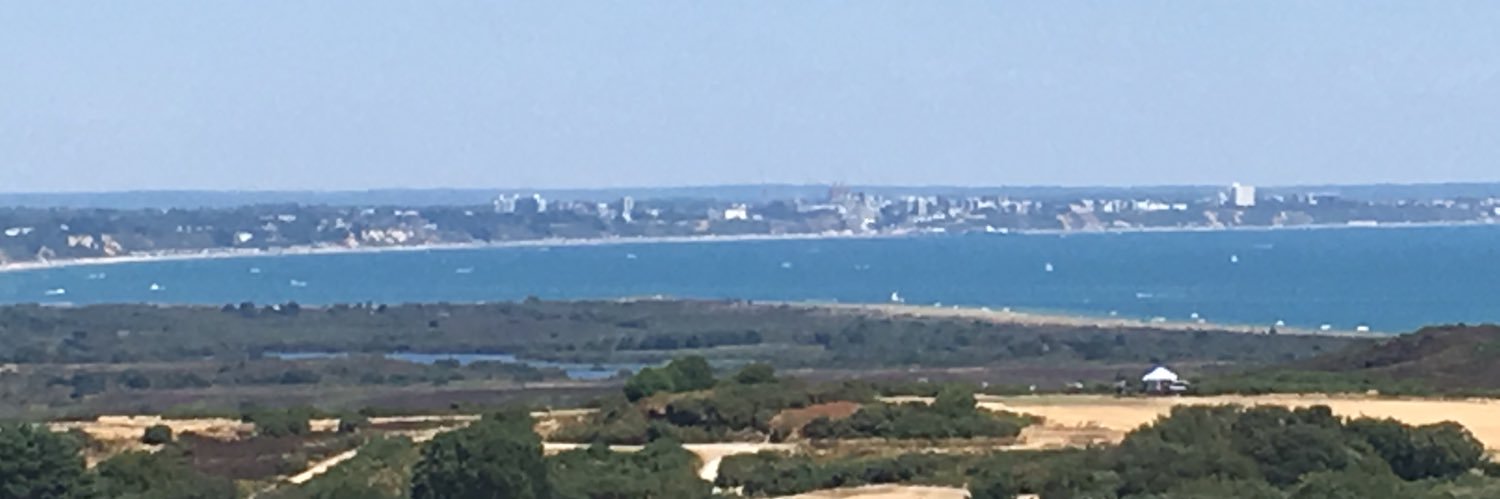 Francesca Nobis banner