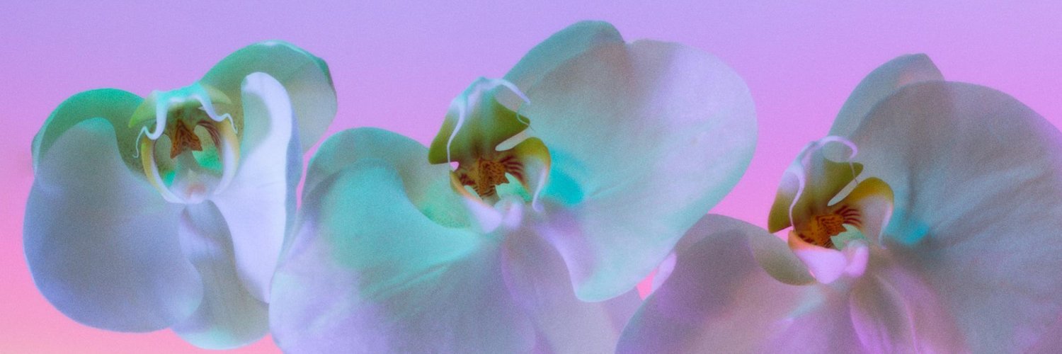 Marucla's profile banner image
