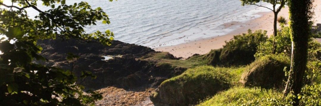 Son van der Stel banner