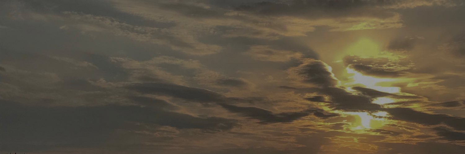 𝚉𝚗𝚒𝚌𝚑𝚔𝚊 ✨'s banner