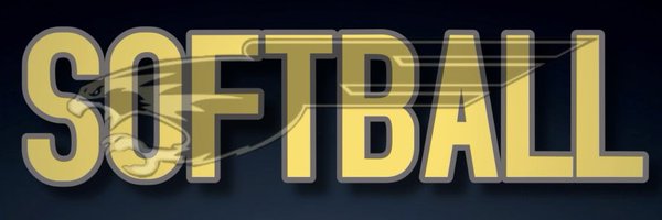 LadyFalconSB Profile Banner