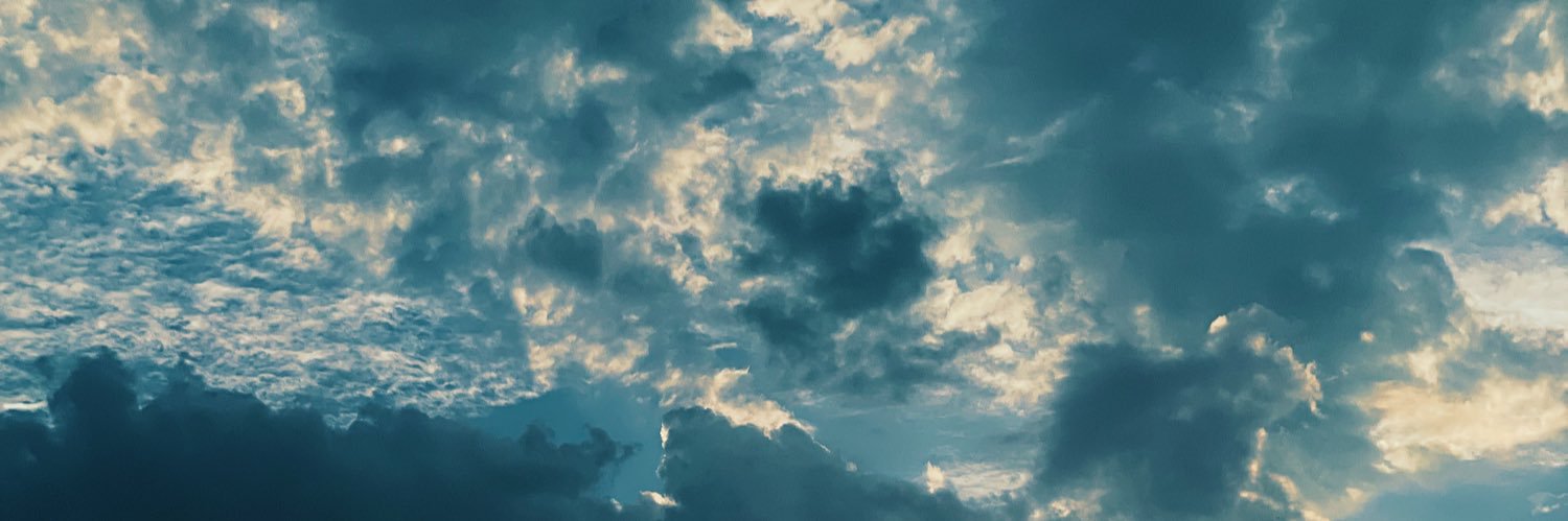 Flor311's profile banner image