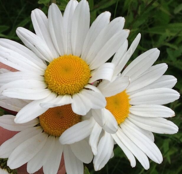 Pati_ber's profile banner image