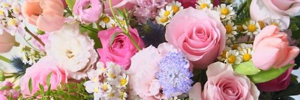 BlueSky63520368 Profile Banner