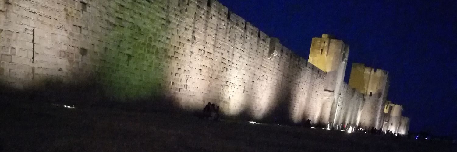 Gabriel Pareyt banner