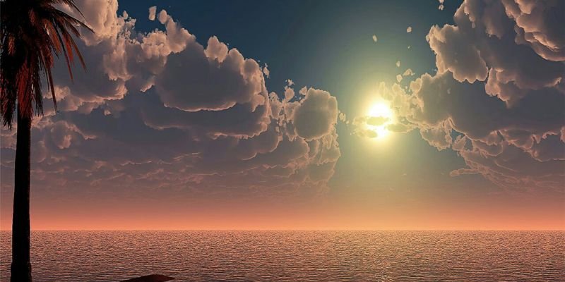 alarimi_k's profile banner image