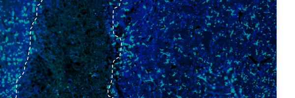 NTU_Imaging Profile Banner