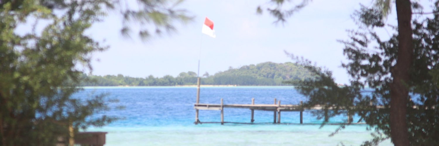 svranisaa's profile banner image