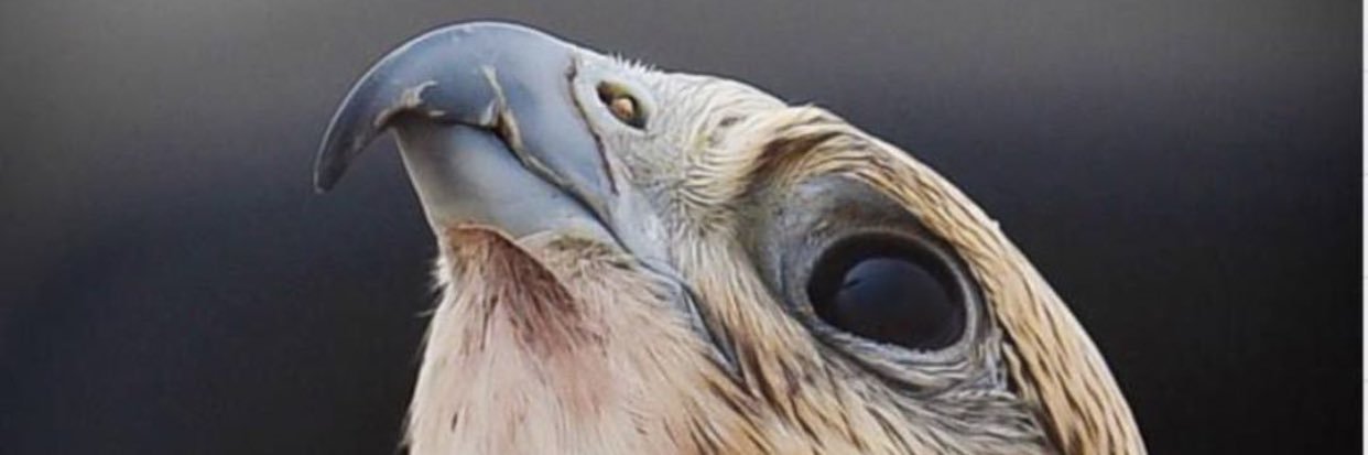 aaasaassd's profile banner image