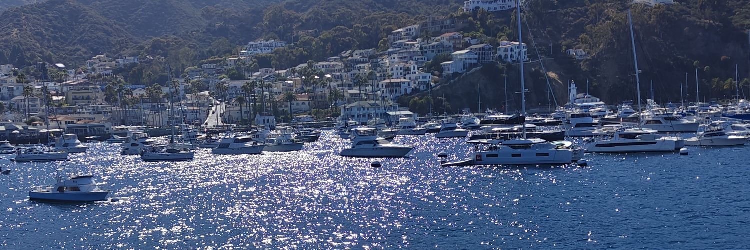 Stormy⛈️⛈️🌩️🌩️ banner