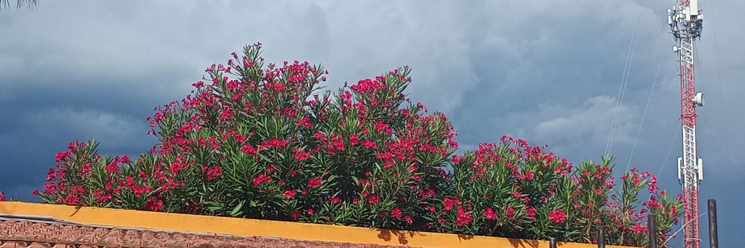 mayurabayen's profile banner image