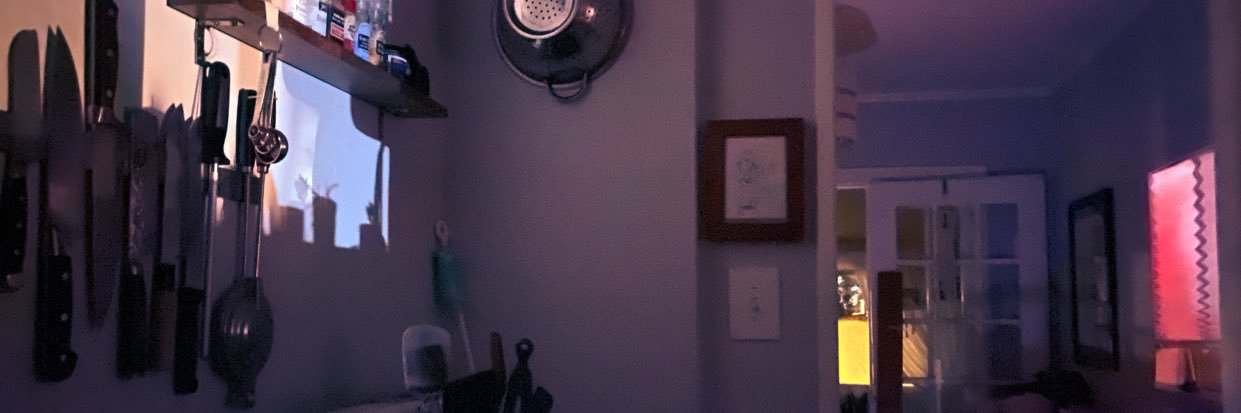 Megan Thompson banner