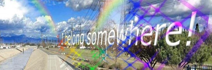 pipo's banner