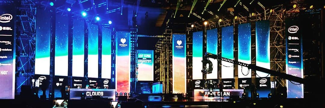 Stephen Norton banner