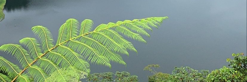 dcoghi's profile banner image