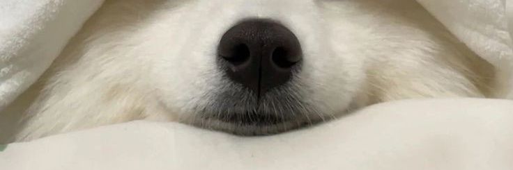 yourguyiann's profile banner image
