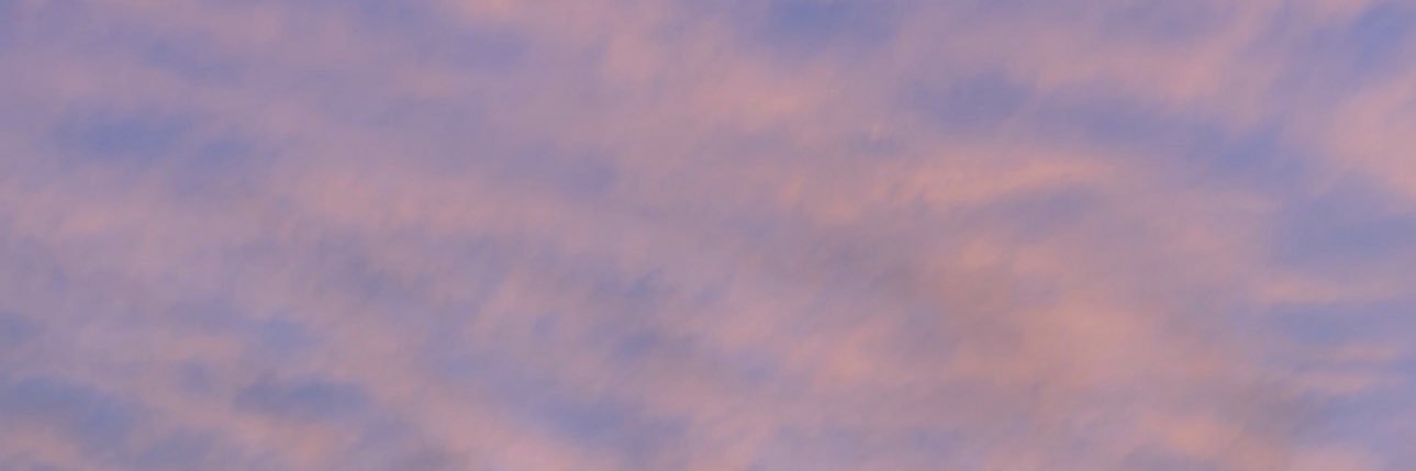 aneesa ໒꒱ banner