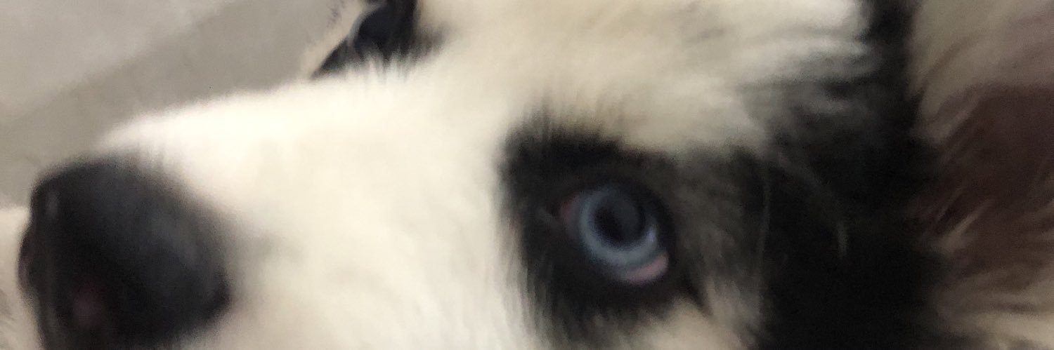 estradangles's profile banner image