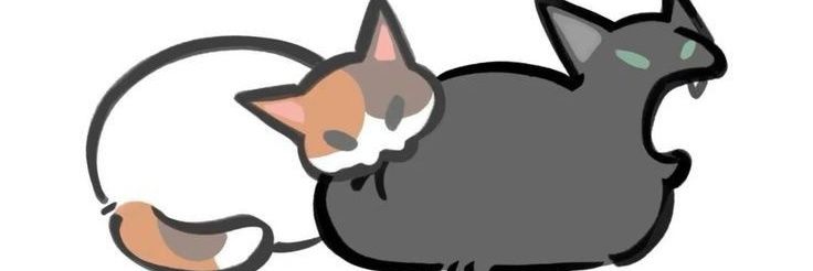 ⏤͟͟͞͞Mar٭ᵕ̈ banner