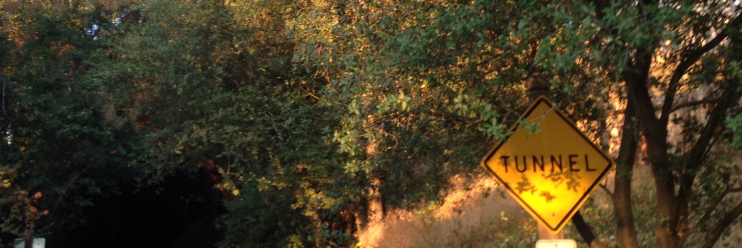 GilliganLizzy's profile banner image