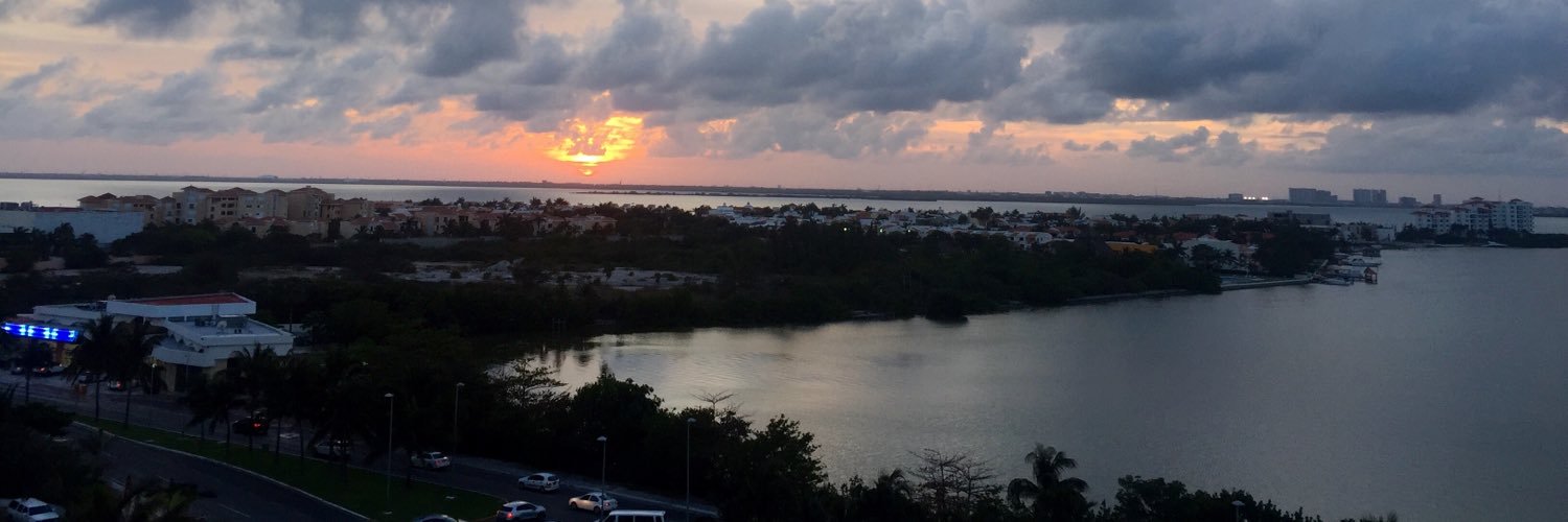 Fran Horowitz banner