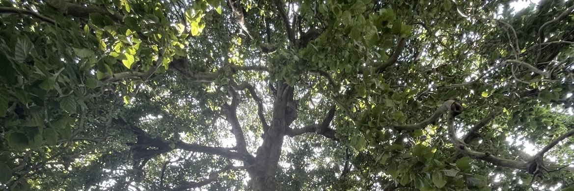 Suddenly Stepmom™ Gara Lacy banner