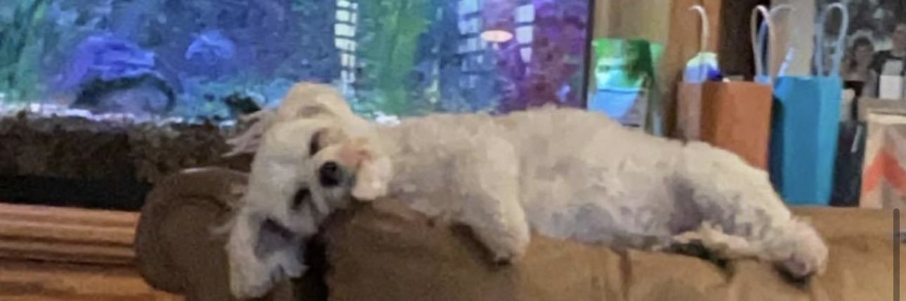 superprettysag's profile banner image