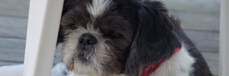 Δ L Σ X' .• banner