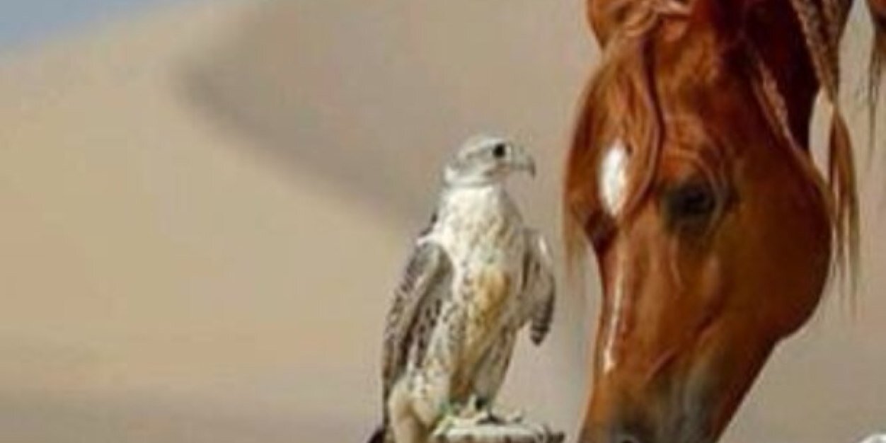 nice_both's profile banner image