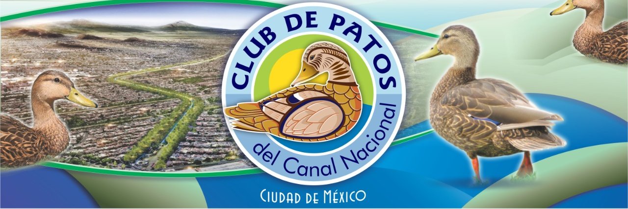 ClubdePatos's profile banner image