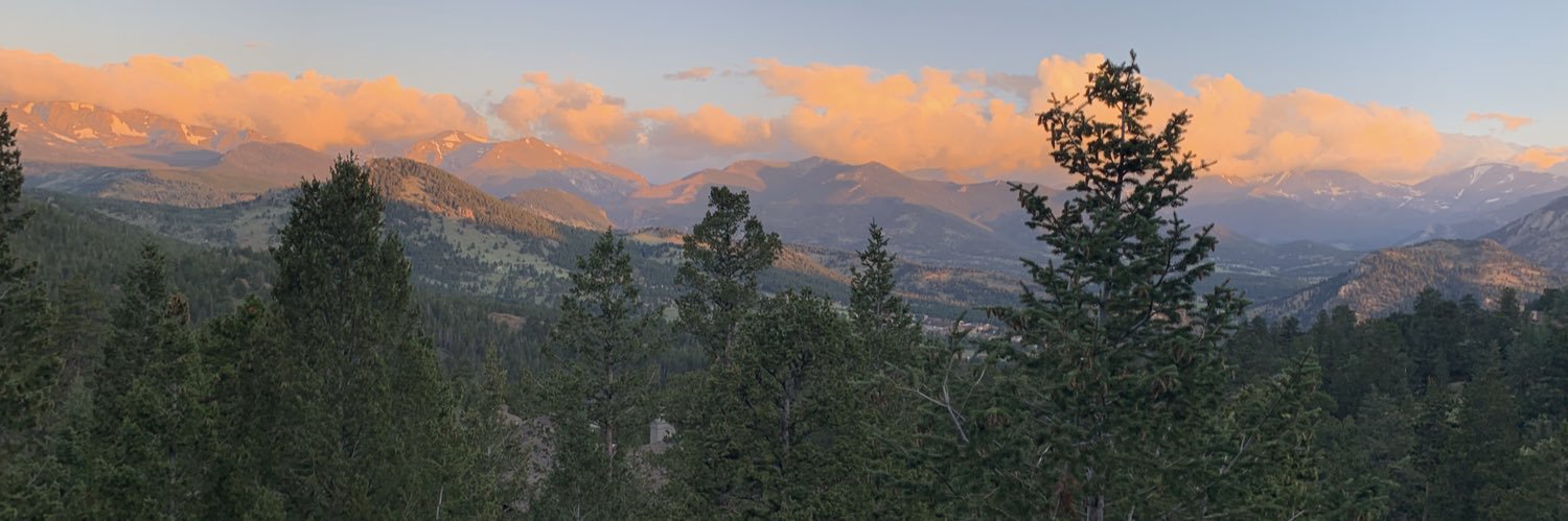 Beth McDaniel banner